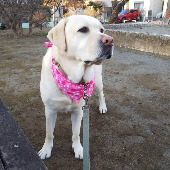 0c2a006b ee3e 48b2 b057 00570349d28a 1580899899338