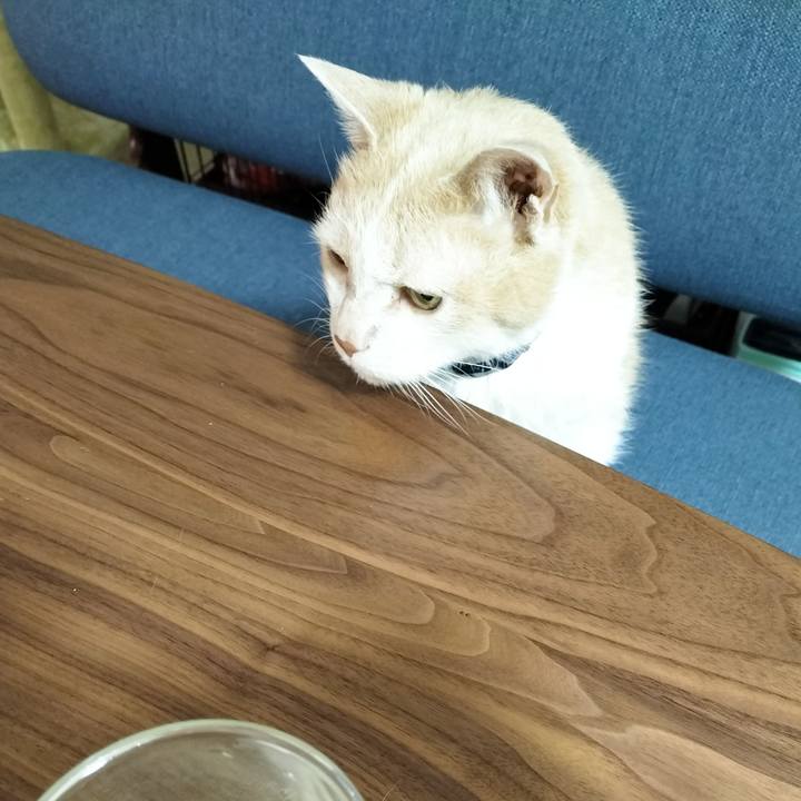 0c2a51ce 606a 4084 948f 4fffe4270d18 1684930189845