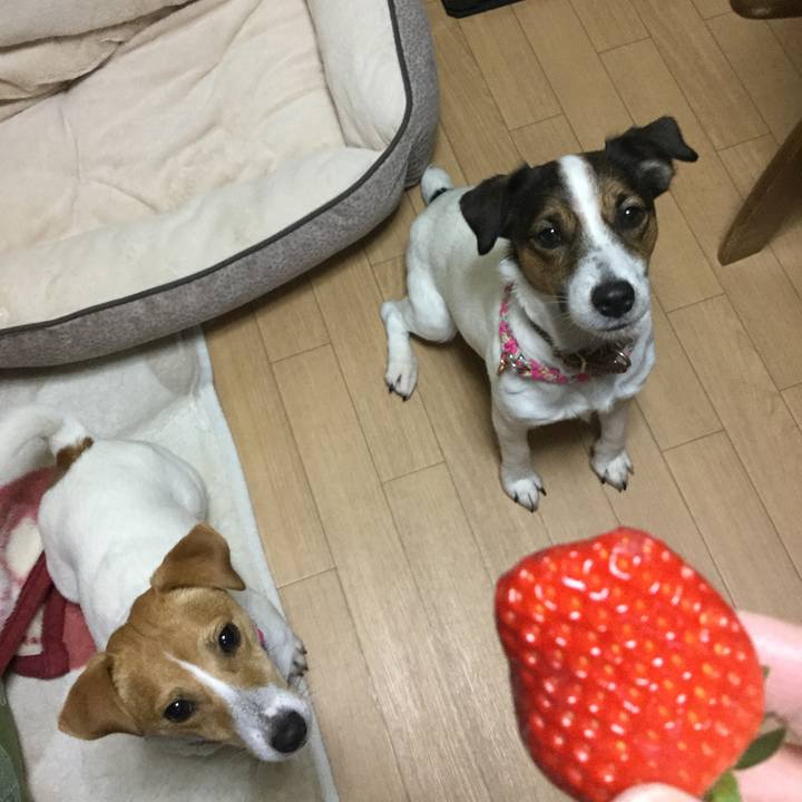 0c2a5547 501b 4a81 aa83 04bb0dbace15 1513682628854