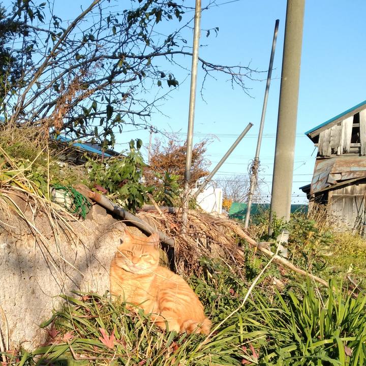 0c2a6b2d ca26 46a3 ba81 7e817b32bcc6 1668151904915