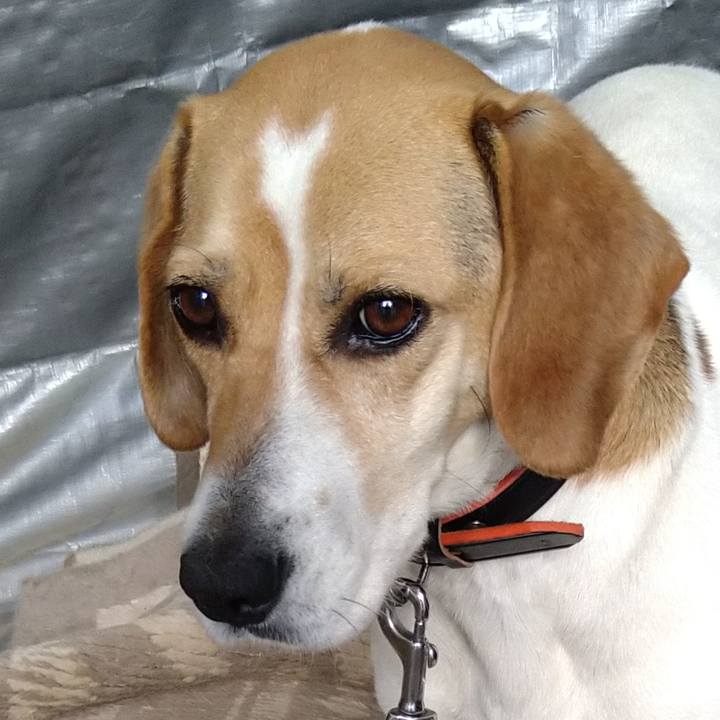 0c2a6cc2 5d1a 44fd aaa6 3950add939f1 1621156340025