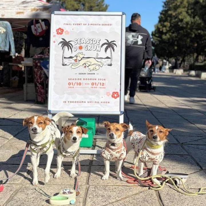 0c2a729c ee2b 448e 84ef 6654e9e63170 1768034630903