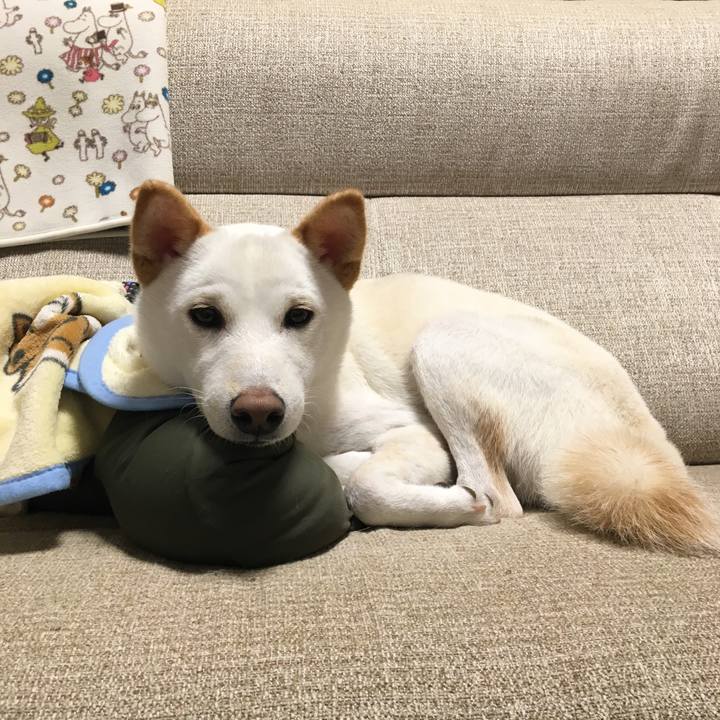 0c2a7d8b cb1c 4d3d 8834 3466ce77a980 1508507113477