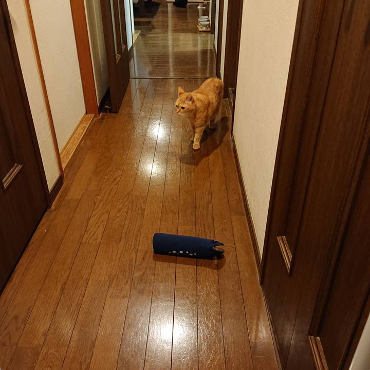 0c2a98e8 79ad 446b 9ba5 9e3ad7a91111 1685713696658