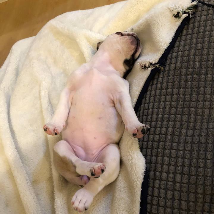 0c2aa0dd d32a 4d39 b0d7 9c7cd75c727d 1556071972642