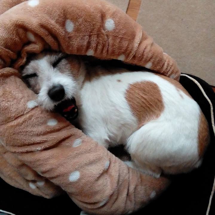 0c2aafdd c61e 4634 8369 d981bd52981a 1551684204989