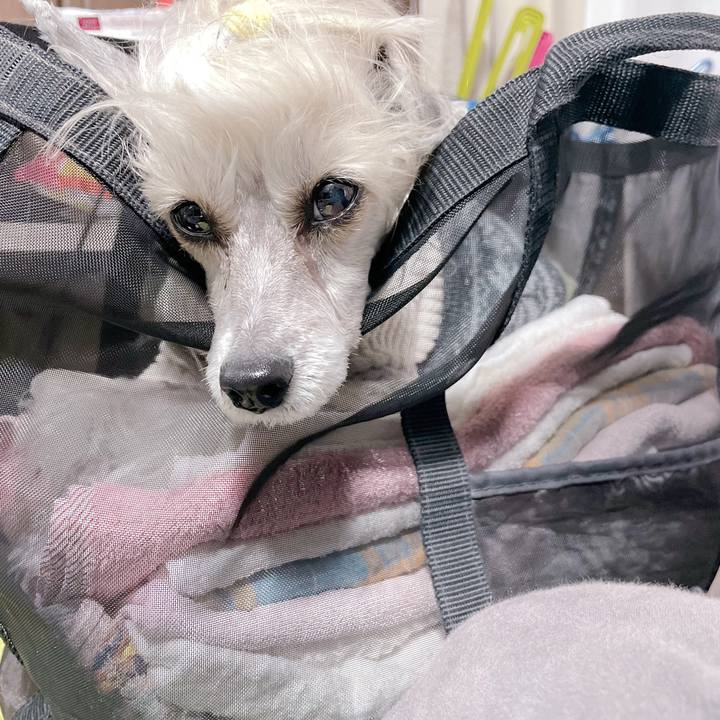 0c2af06a 9a86 4f4e 8227 3d1bc43eef33 1761727663939