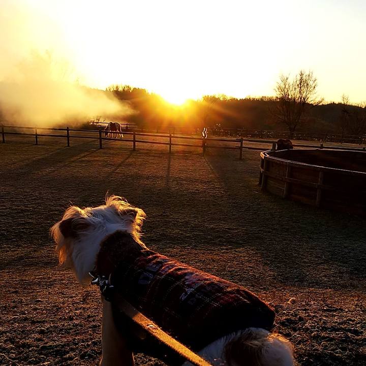 0c2afc5d e17e 49b0 a852 e77419c868ad 1546305896095