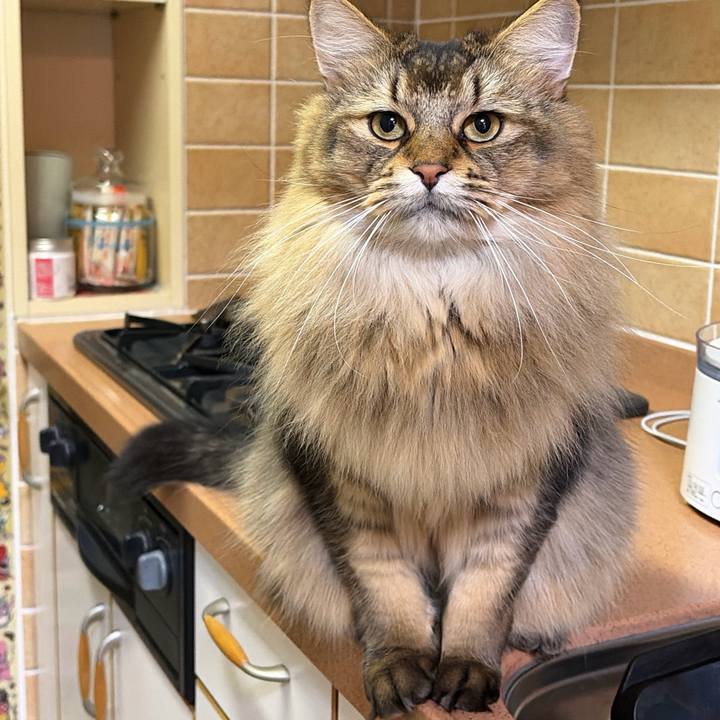 0c2b009d 4012 4686 8cc4 291fe798d789 1764283456373