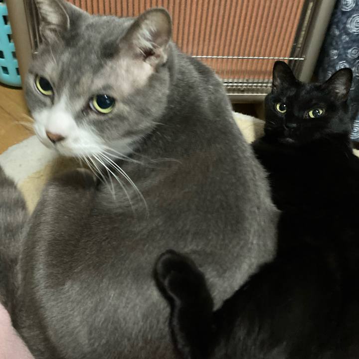 0c2b1d43 7e2f 458c 8feb 543cfa19701b 1675982988181