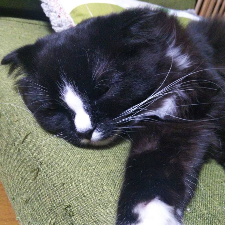 0c2b3352 86ac 46b8 b1b8 25995731e99e 1648853909583