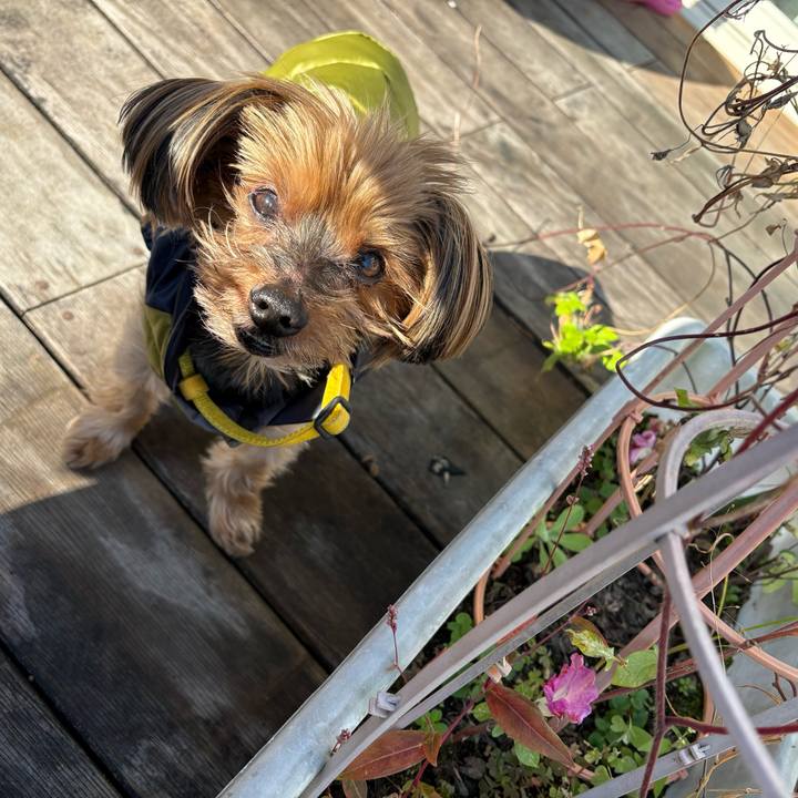 0c2b37f5 80ca 422f 85c8 2e515ca77df6 1733270208173