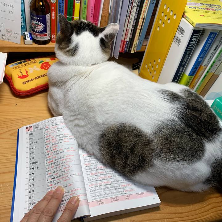 0c2b3898 2d2e 4052 a416 3db6c696b1ec 1606859350493