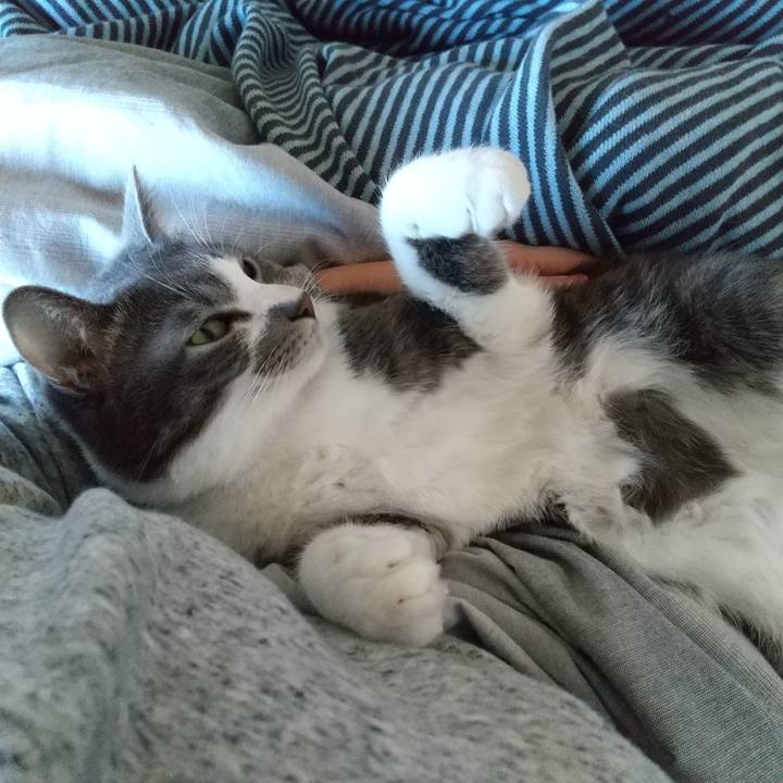 0c2b479a 56f9 436f 87af 3afc95bc023e 1612574250743