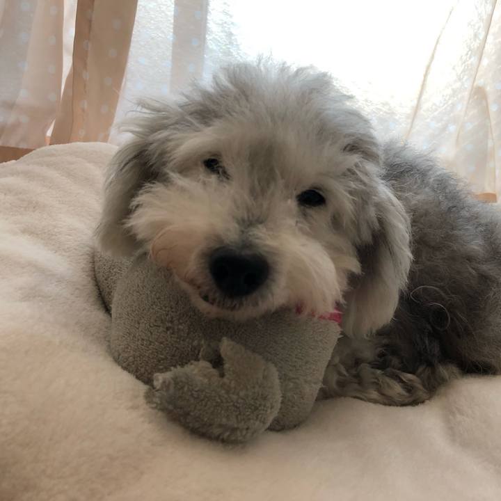 0c2ba583 570a 4aeb bc88 9838d97f034b 1638489976288