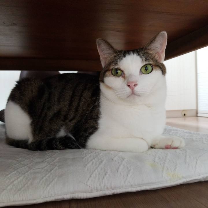 0c2bf3a0 6aca 4ce2 af5f ef20ea844cd7 1569791914531