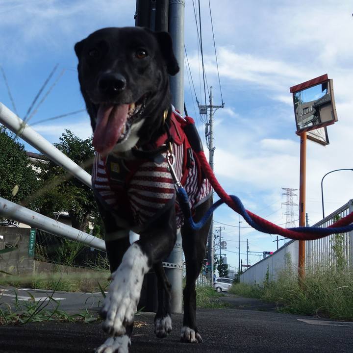 0c2c0061 9e39 4383 a548 d2dd906bb771 1599176619993