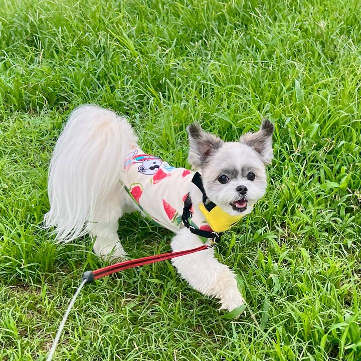 0c2c0331 6fdb 4fbb 9dce dfa22d7467b2 1755643899999