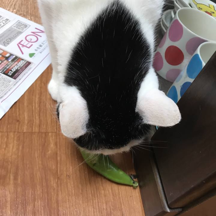 0c2c9dd1 eaff 4b17 b552 dac348f077bc 1523416146131