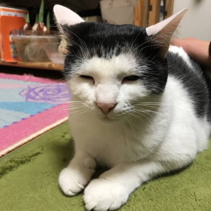 0c2cb0fe ae22 4332 aa57 d40033945f9c 1517143965748