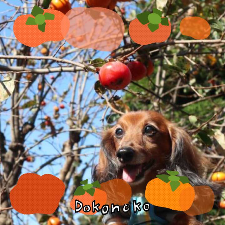 0c2ccbc7 e197 4339 ac98 7a9155c2acc0 1761815257713