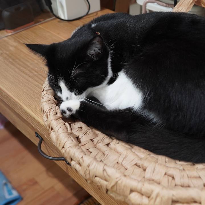 0c2ce55b ddec 4856 8ac5 92d61c0ac261 1589618910893