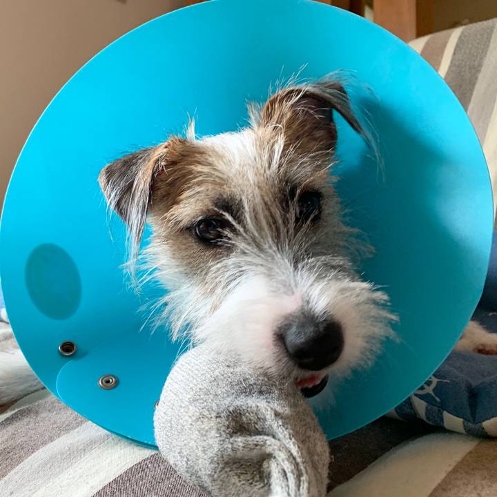 0c2d05f0 3d89 4db1 b803 17c1d20914ab 1569293410560