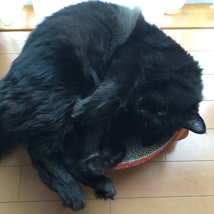 0c2d454f 9201 4b11 ade7 9952c4ad6ae2 1531444761329