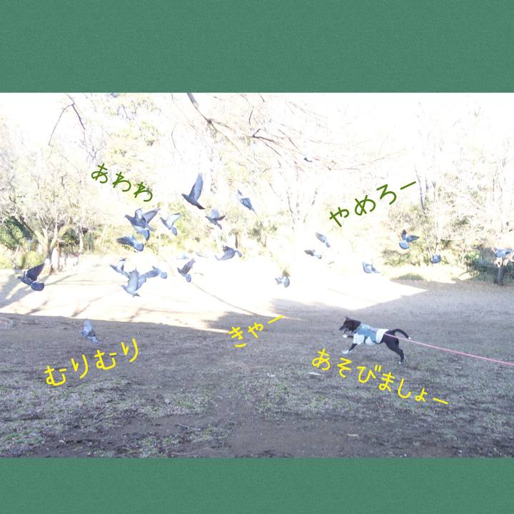 0c2d62be f0dd 48ac 9c0c 4a5bb8508579 1706318924453