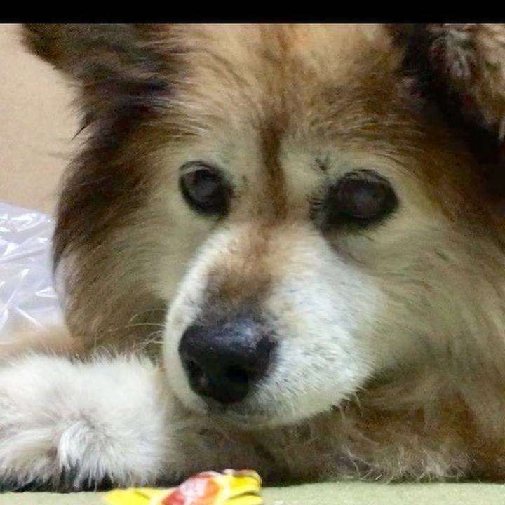 0c2dc080 4d0b 4fea 9cec 1532d8073c57 1573695430599