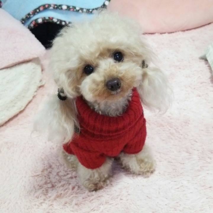 0c2dc0c9 ac99 45ee 907c 5ada6c7fe790 1543410034849