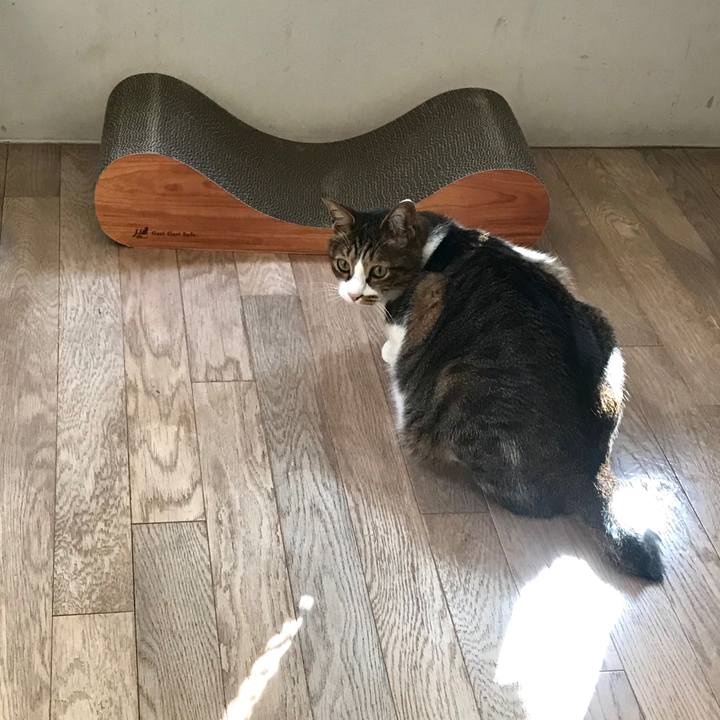 0c2dded2 edb2 4ba8 8ec2 9263b4c1602d 1518147451430