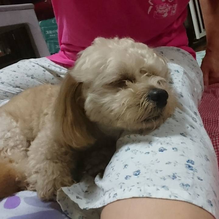 0c2e18fb 4dbd 4144 9c1d ce71acd27f8d 1530373470639