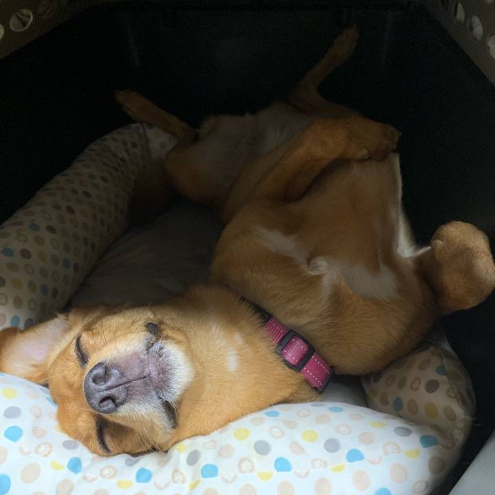 0c2e2e65 e473 44ea be49 f6239c0d7789 1570746202993