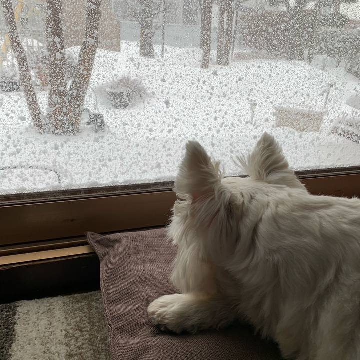 0c2e5ecf 5c33 4a05 9f11 ac64c7d70639 1613443967907