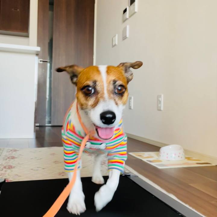 0c2e6f9a 33b9 412f 8675 60911a8ab137 1740635307279