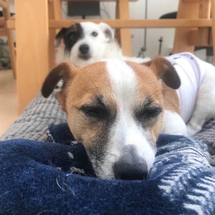 0c2e7a1c 8d4e 41ad be46 e89c41744ff8 1531191998688