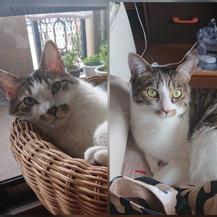 0c2ec571 2c19 46fc a493 e40c9fc76517 1630990003552