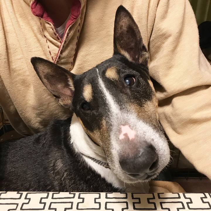 0c2ecbd7 bf52 47eb b3aa 2cb1c504f907 1511304511510