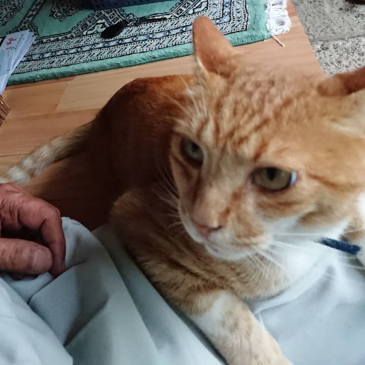 0c2eeff4 2877 4b65 a460 fd95bffe1bca 1597658353586