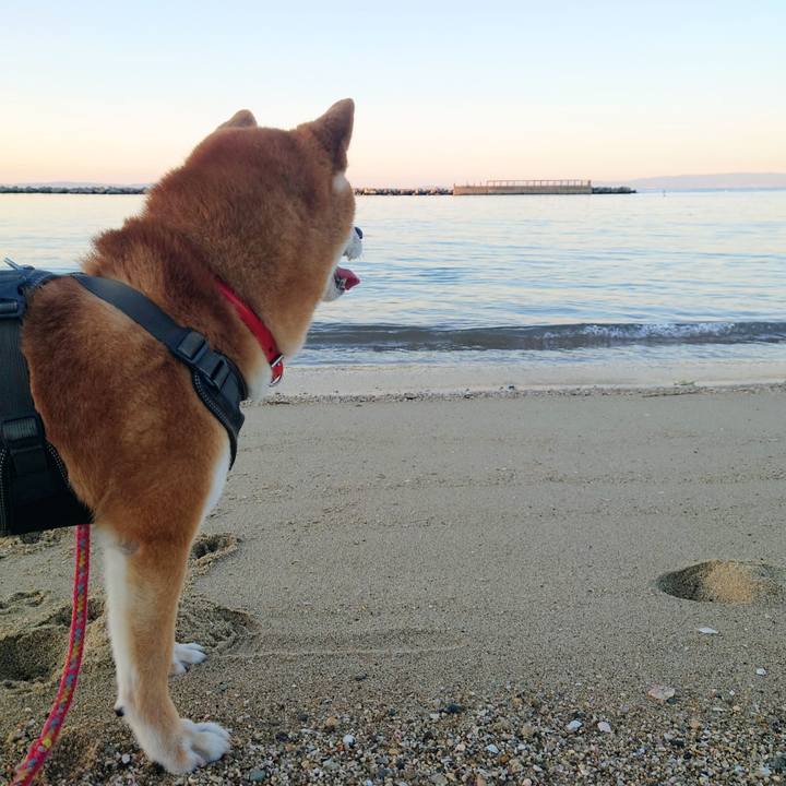 0c2f02d3 4123 4e65 86db e0682d54d9a3 1765103264792