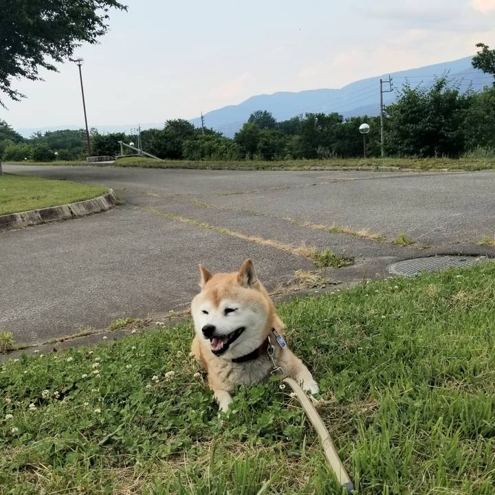 0c2f0977 5553 48fe b486 f4ee274e2b9b 1718176698548