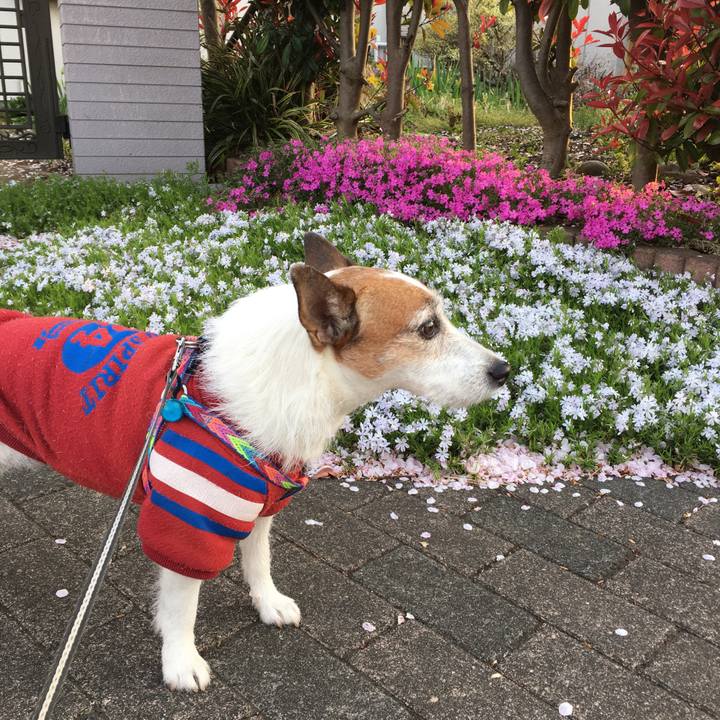 0c2f23f6 c139 476e a6c0 1b34b67ab9b6 1649465427367