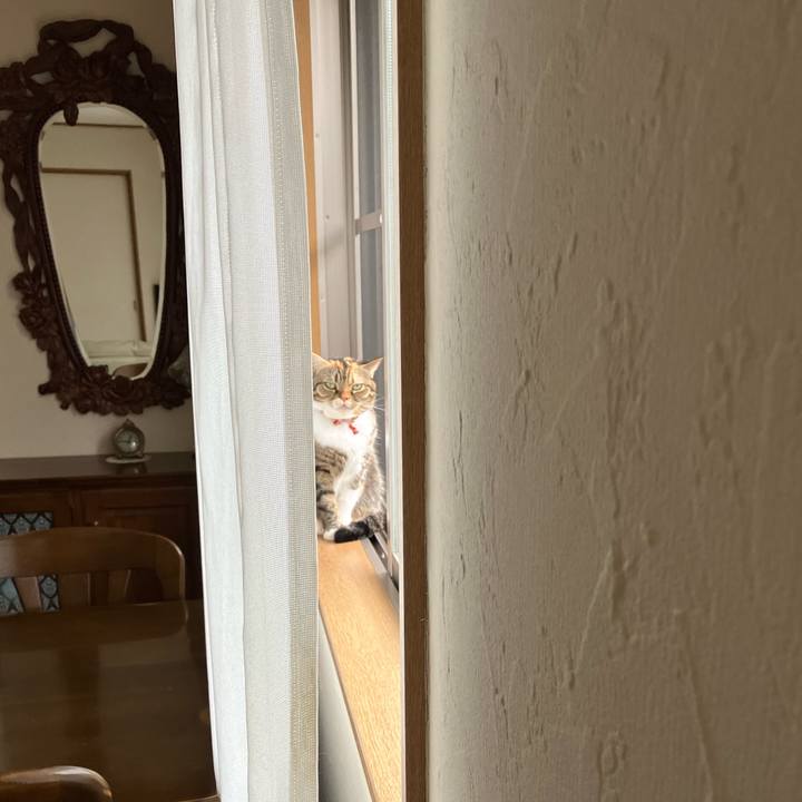 0c2f374f 24f8 423b a174 105ff337a58b 1761968808432