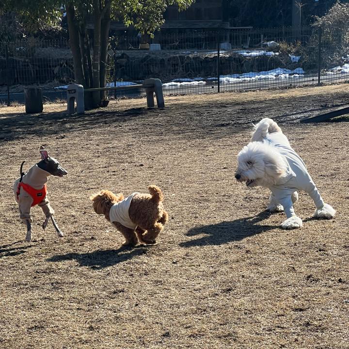 0c2f404f d55a 4c21 85fd 71d3ba4b435a 1741560019111