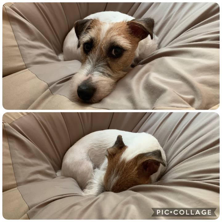 0c2f5f93 180f 4955 af3b 02fe6002a906 1598249876100