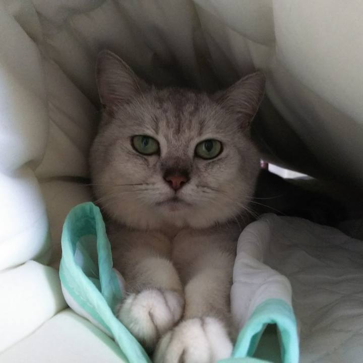 0c2f6561 c65b 42b0 af8c 50850ce75b78 1535776297466