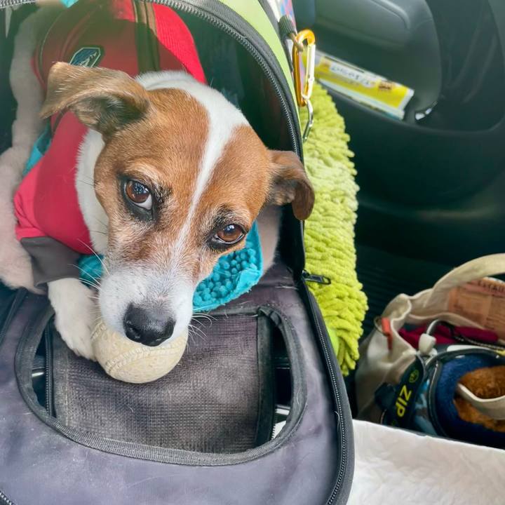 0c2f6828 f09e 406a 917a 366709f90931 1740032413379