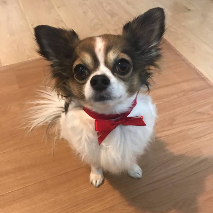 0c2fa3f8 6092 4416 b7f1 287bac3d58b3 1547642910773