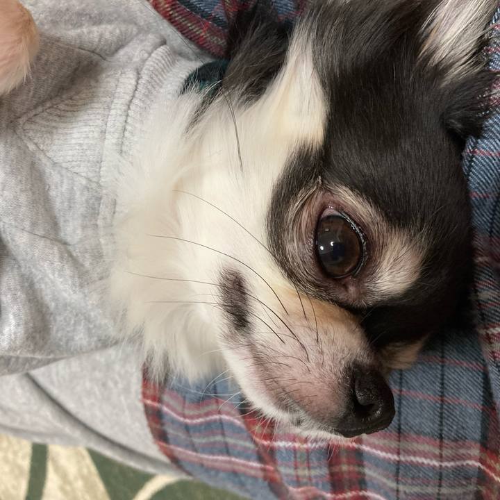 0c2fd756 a1c0 4eb2 a511 8069c8066665 1640872000888